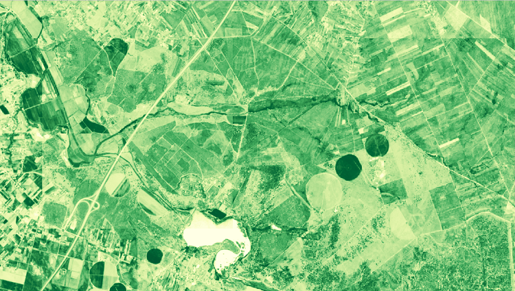 Satellite Images API for Agriculture: NDVI, EVI, True and False colour