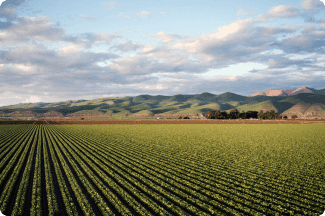 Agriculture