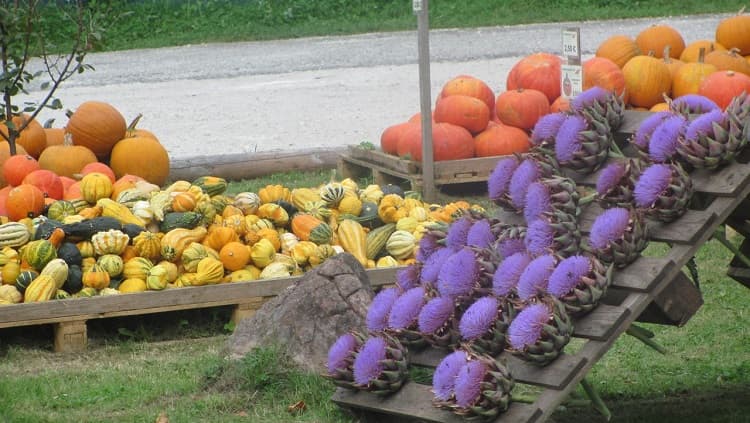agro_market2.jpg