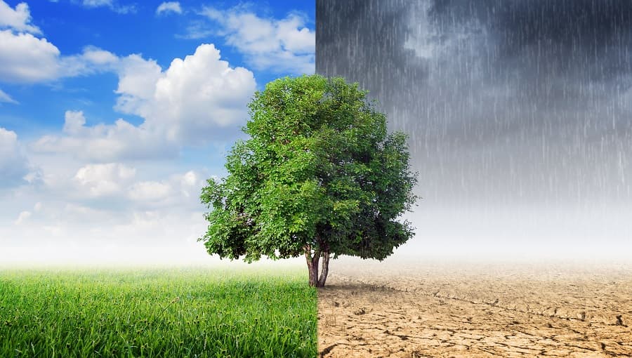 climate-api-climate-forecast-30-days.jpg