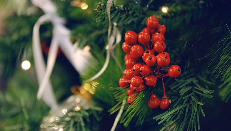 cristmas5.jpg