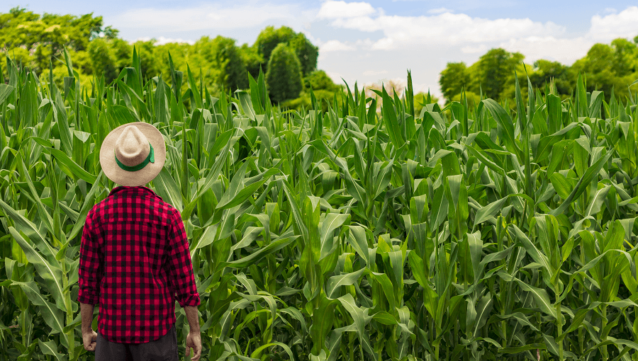 discover-ndvi-and-its-practical-uses-agriculture.png