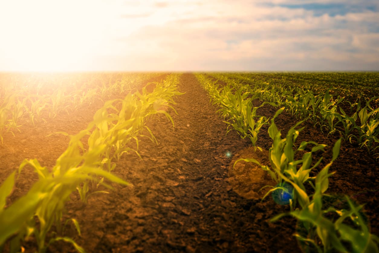 eco-agriculture.jpg