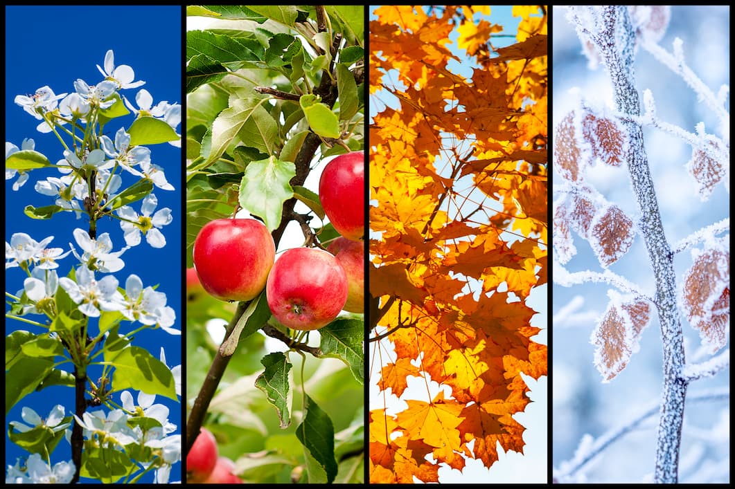four_seasons.jpg