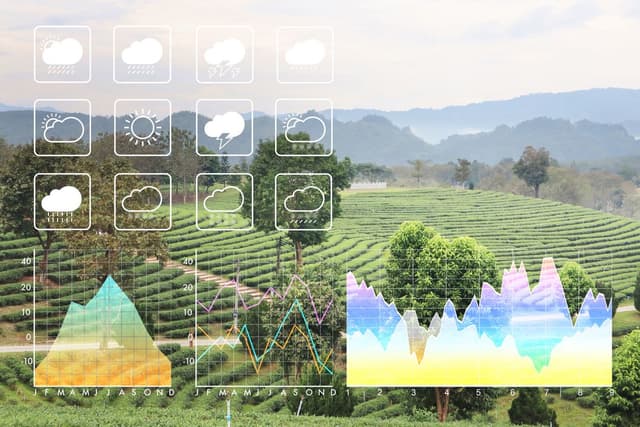 Meteorological Reports – Expert Weather Analysis by OpenWeather