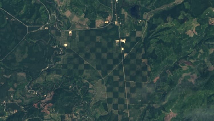 ndvi-vs-ndwi.jpg