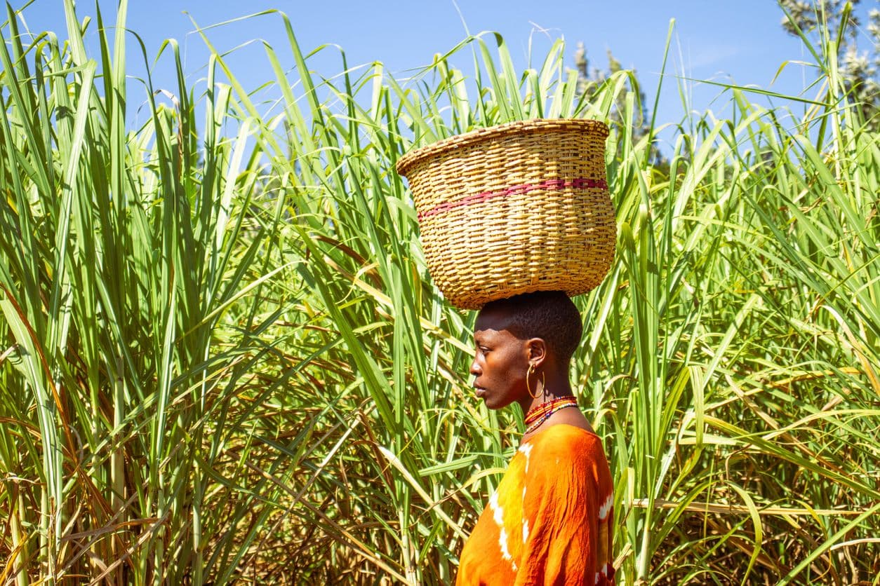 Africa