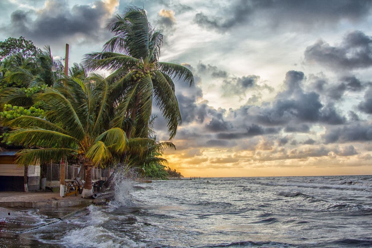 Carribean