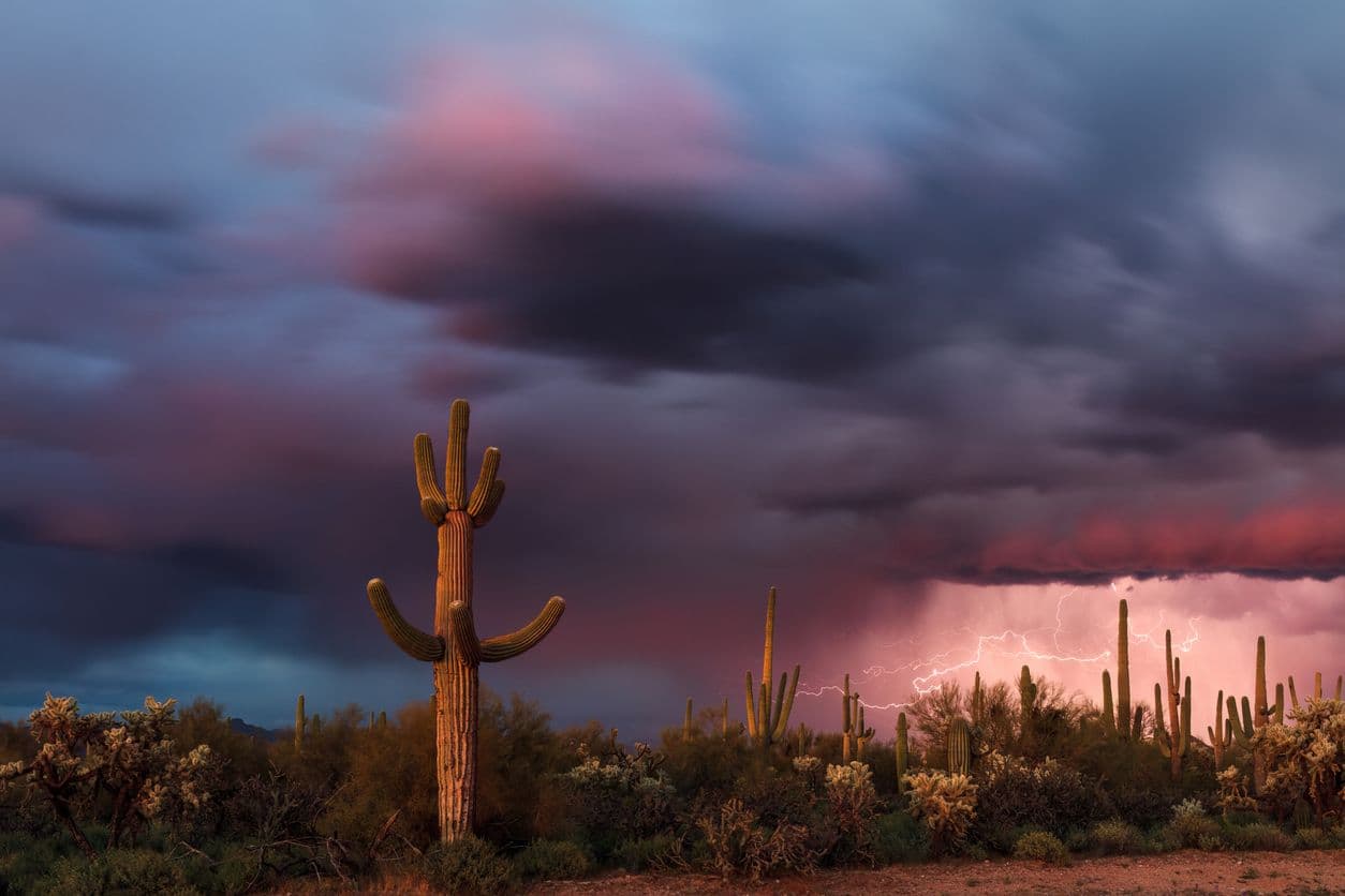 DESERT