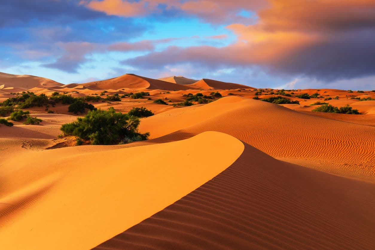 DESERT