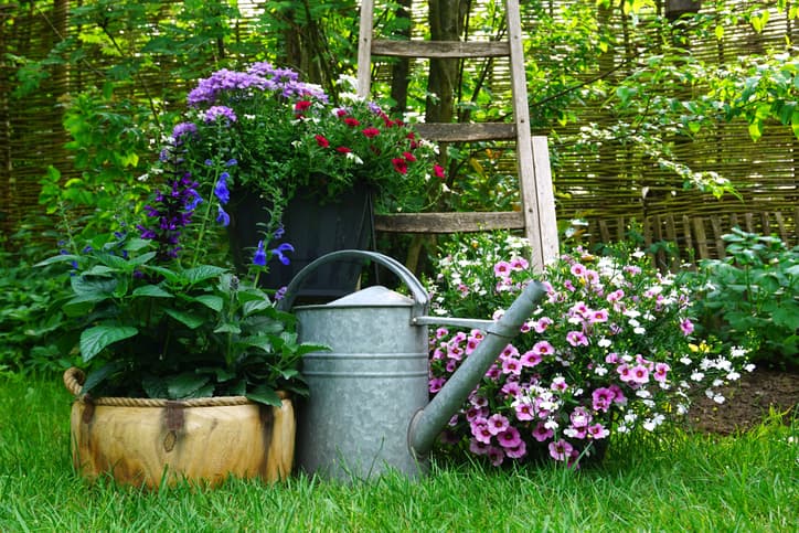 ow-garden-1.jpg
