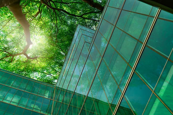 ow-green-1.jpg