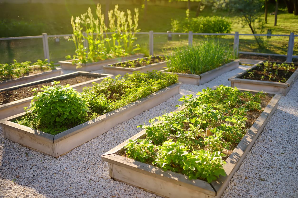 urban_farming_2.jpg