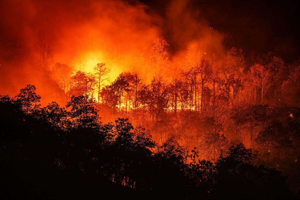 wildfire