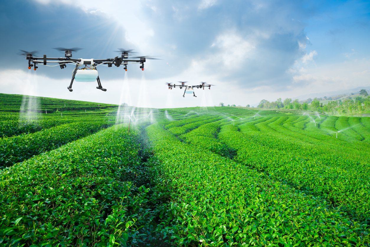 How farming is innovating for the future