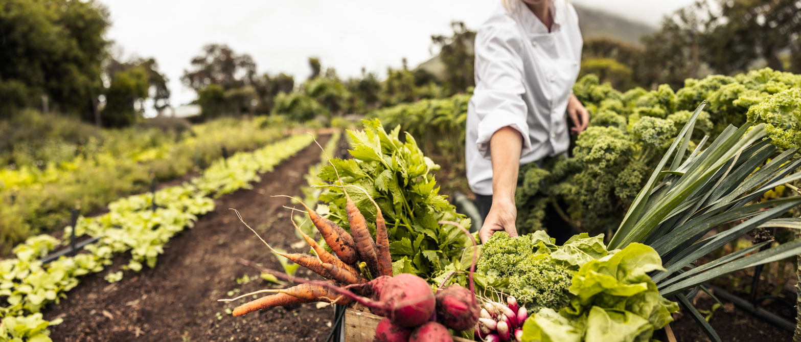 Rolling back the years with a new style of farming