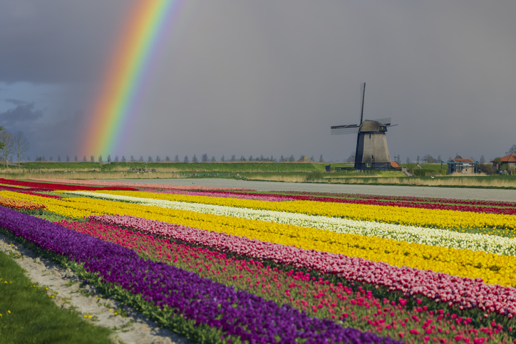 A Flowering Industry