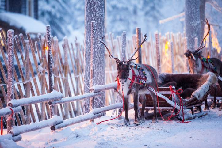 A White Christmas in Lapland: Beyond the Northern Lights