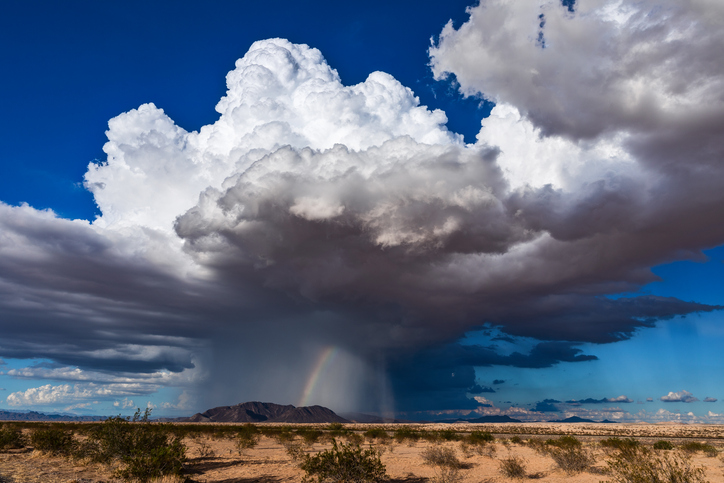 Unpacking the Local Weather Puzzle: Key Factors That Create Microclimates