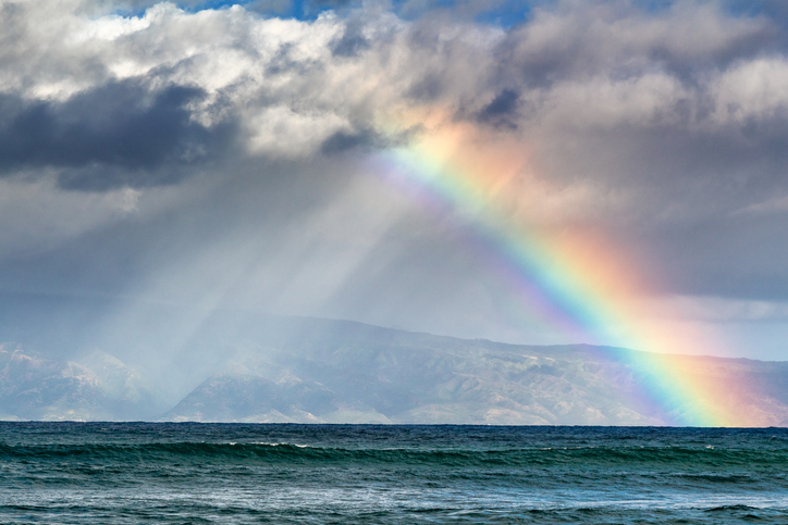 The Science Behind Nature's Light Show